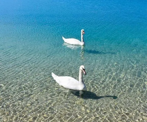 Апартаменты 4rest *