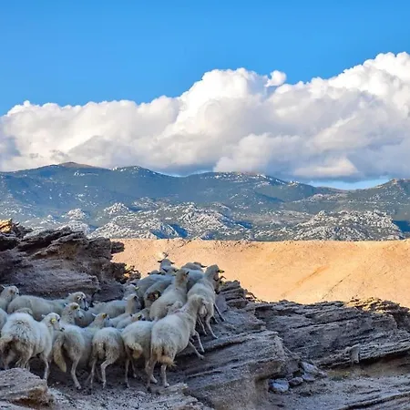 4rest Appartement Pag Town