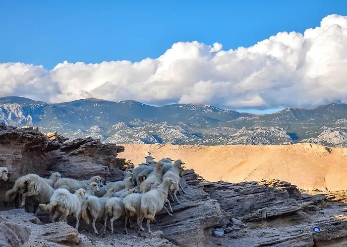 4rest Appartement Pag Town